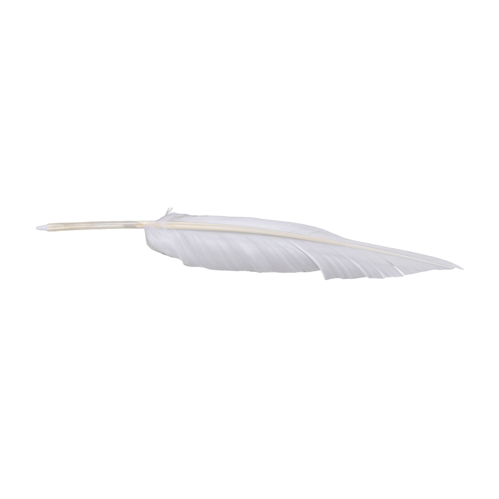 Anime Sousou of Frieren Cospla - Frieren Cosplay Prop review and price