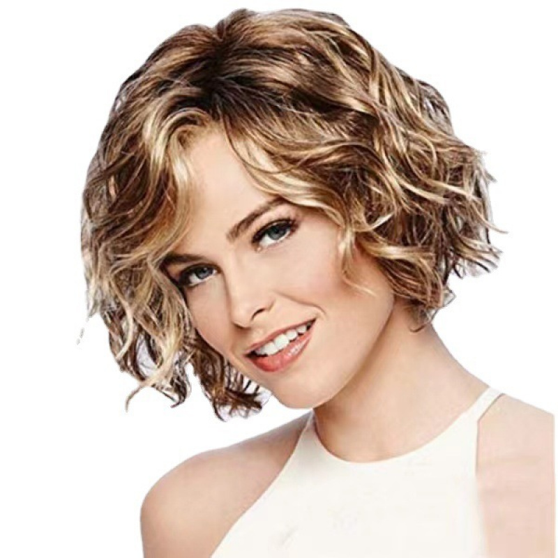European and American Style Wi - Wig Fiber Net review and price